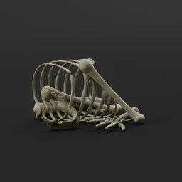 Small Bone Pile 2